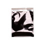JAM Paper 6.25 x 7.875 Open End Catalog Foil Envelopes with Self-Adhesive Closure, Black, 25/Pack (1327706)
