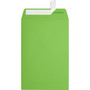 JAM Paper 6 x 9 Open End Envelopes, Peel & Press, Limelight Green, 500 Pack (1644-101-500)