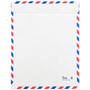 JAM Paper 9 x 12 Tyvek Tear-Proof Open End Catalog Envelopes, White Airmail, 50/Pack (2131102C)