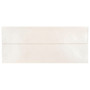 JAM Paper #10 Metallic Business Envelopes, 4.125 x 9.5, Stardream Opal, Bulk 500/Box (V018287H)