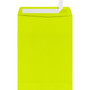 JAM Paper 9 x 12 Open End Envelopes, Wasabi, 250/Pack (4894-L22-250)