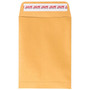 JAM PAPER Self Seal Catalog Envelopes, 5 1/2" x 7 1/2", Brown Kraft Manila, 100/Pack (400238465D)