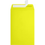 JAM Paper 6 x 9 Open End Envelopes, Citrus Yellow, 250 Pack (1644-L20-250)