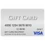 Visa Gift Card (65dd41d8e8837636b11c5e8f_ud)