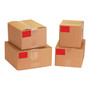 Tape Logic 6" x 3" Rectangle Inventory Label, Red, 250/Roll (65dd516de8837636b11cf3b6_ud)