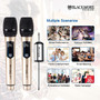 Blackmore Pro Audio BMP-14 Dual Handheld Rechargeable Wireless UHF Microphone System, Gold (65dd6115e8837636b11d8b92_ud)