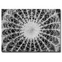 Trademark Fine Art Barrel Cactus by Kurt Shaffer-Ready to Hang 22x32 Inches (65dd666fe8837636b11dbe78_ud)