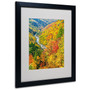 Trademark Fine Art 'Valley' 16" x 20" Black Frame Art (65dd6684e8837636b11dbf99_ud)