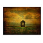 Trademark Fine Art 'Field of Dandelions' 22" x 32" Canvas Art (65dd669be8837636b11dc075_ud)