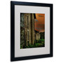 Trademark Fine Art 'Old Farmhouse' 16" x 20" Black Frame Art (65dd66f9e8837636b11dc3fe_ud)