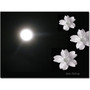 Trademark Global Kathie McCurdy "Summer Moon" Canvas Art, 35" x 47" (65dd6744e8837636b11dc6db_ud)