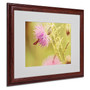 Trademark Fine Art 'Skipper On Pink Thistle' 16" x 20" Wood Frame Art (65dd6796e8837636b11dc9e1_ud)