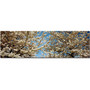 Trademark Fine Art Preston, 'Floral Escape' Canvas Art 14 x 47 Inches (65dd67a1e8837636b11dca1d_ud)