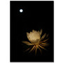 Trademark Fine Art Kurt Shaffer 'Full Moon Power' Canvas Art (65dd67cbe8837636b11dcb32_ud)