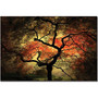 Trademark Global Philippe Sainte Laudy "Japanese" Canvas Art, 22" x 32" (65dd67cee8837636b11dcb5c_ud)
