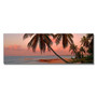 Trademark Fine Art 'Cayman Palms II' 18" x 24" Canvas Art (65dd67eae8837636b11dcc1d_ud)