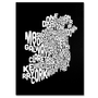 Trademark Fine Art Michael Tompsett 'Ireland Text Map 5' Canvas Art 14x19 Inches (65dd67f5e8837636b11dcc4f_ud)