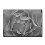 Trademark Fine Art Kurt Shaffer 'Hypnotic Rose in Black and White' Canvas Art 35x47 Inches (65dd6813e8837636b11dcd35_ud)