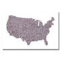 Trademark Fine Art Michael Tompsett 'US City Map XVII' Canvas Art 16x24 Inches (65dd684de8837636b11dce68_ud)