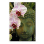 Trademark Fine Art Orchids and Buddha by Kurt Shaffer-Gallery Wrapped (65dd685de8837636b11dcecb_ud)