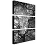 Trademark Fine Art 16" x 32" Canvas Gallery Wrapped Art, Set/3 (65dd6869e8837636b11dcf09_ud)