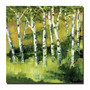 Trademark Global Michelle Calkins "Birch Trees" Canvas Art, 24" x 24" (65dd68a9e8837636b11dd0ce_ud)