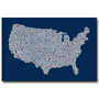 Trademark Fine Art Michael Tompsett 'US City Map V' Canvas Art 16x24 Inches (65dd68eae8837636b11dd264_ud)
