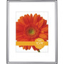 Victory Light 16" x 20" Silver Poster Frame (VF2001B.1620S)