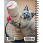 2024 Willow Creek Press What Cats Teach Us Weekly Engagement Planner 6.5" x 8.5" Spiral Calendar (37911)
