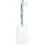 JAM Paper® Premium Gift Tags with String, Medium, 4 3/4" x 2 3/8", White with Green String , 100/pack (91932671DZ)