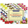 Hayes Publishing Pre-Kindergarten Certificate, 8.5" x 11", 30 Per Pack, 3 Packs (H-VA600-3)