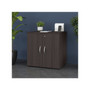 Bush Business Furniture Studio C 30" Storage Cabinet with 2 Shelves, Storm Gray (SCS130SG)