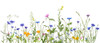 Wildflower