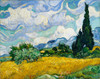 Wheat field with cypress trees