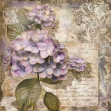 Vintage hydrangea (N-4)