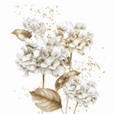 White hydragnea  (N-12)