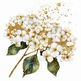 White hydragnea  (N-1)