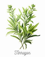 Tarragon