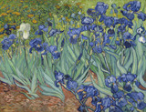 Irises