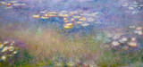 The Water Lilies