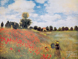 The Poppyfield