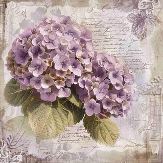 Vintage hydrangea (N-17)