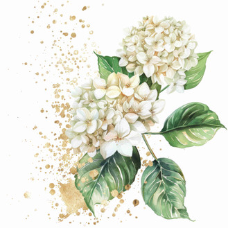 White hydragnea  (N-14)