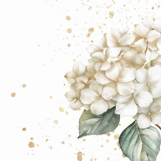 White hydragnea  (N-9)