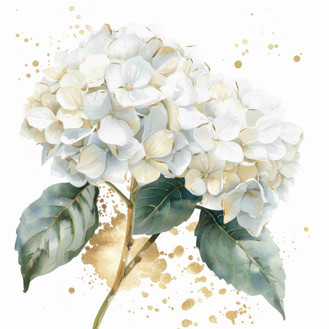 White hydragnea  (N-2)