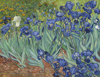 Irises
