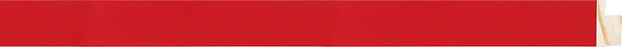 2016 Rojo