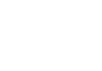 lightning fast shipping