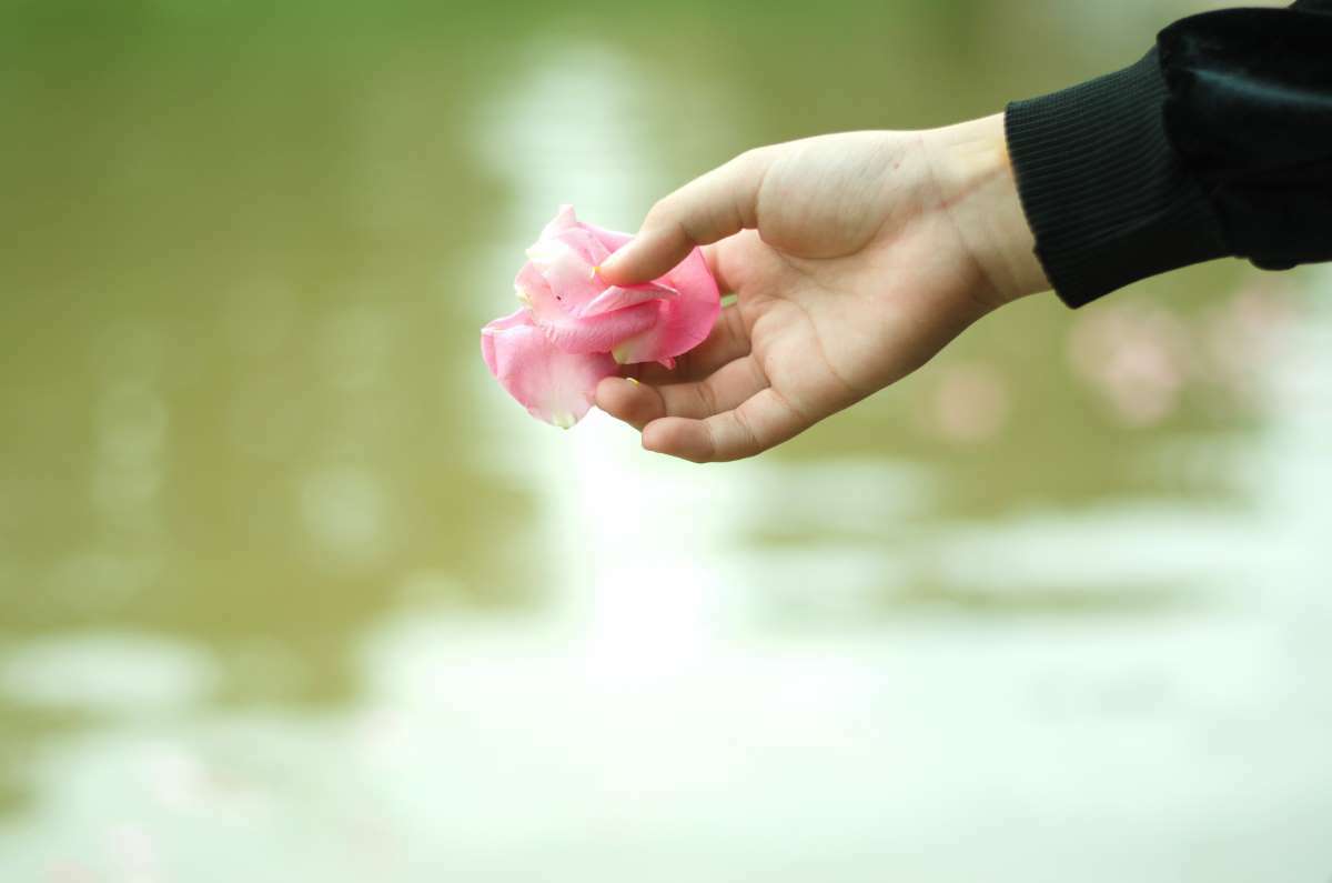 scattering flowers into water for ash scattering ceremony.