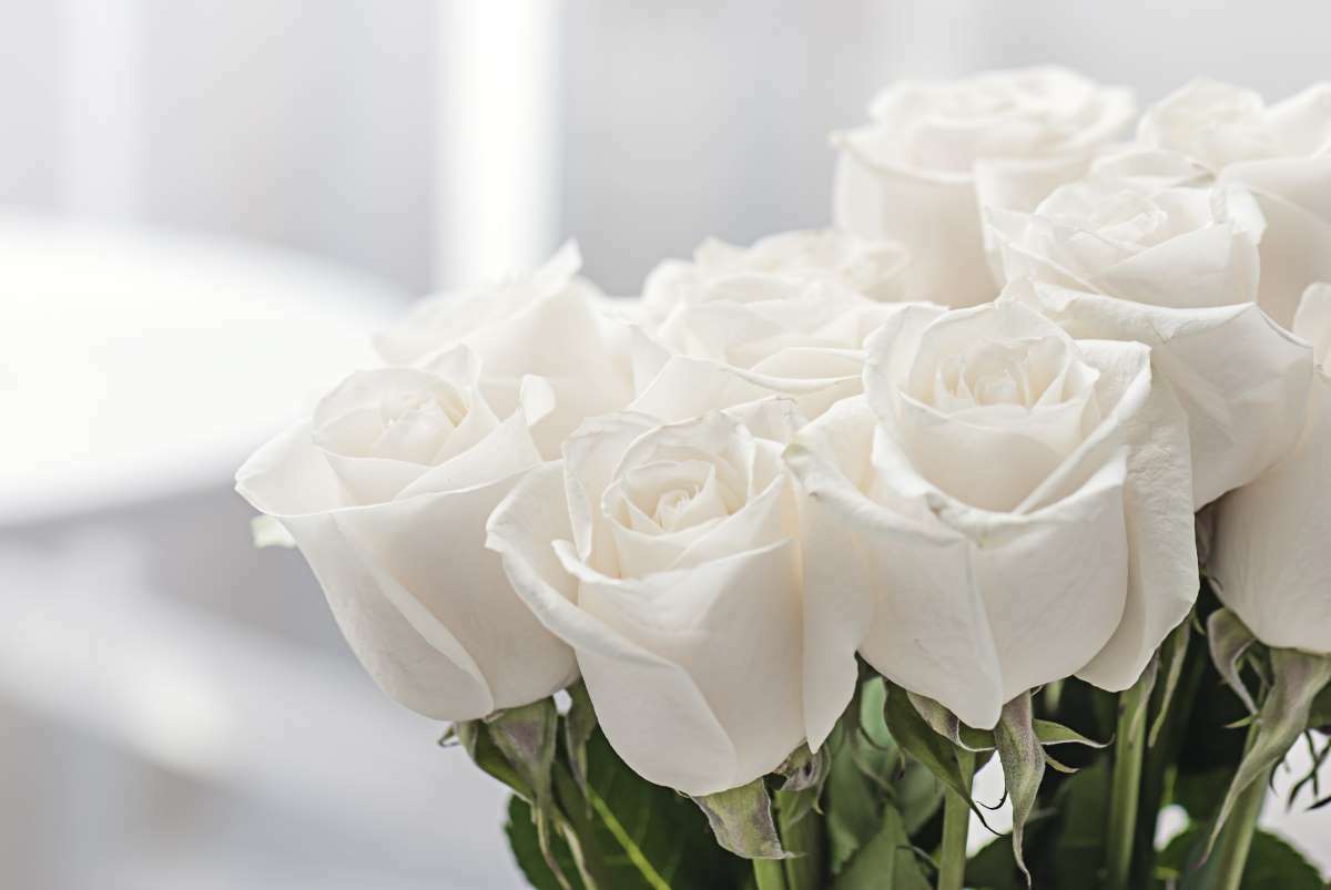 White funeral flowers